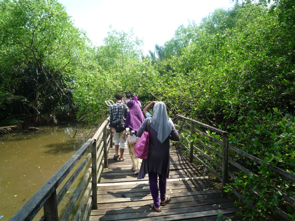 Hutan Mangrove Jakarta 1 A SHORT JOURNEY